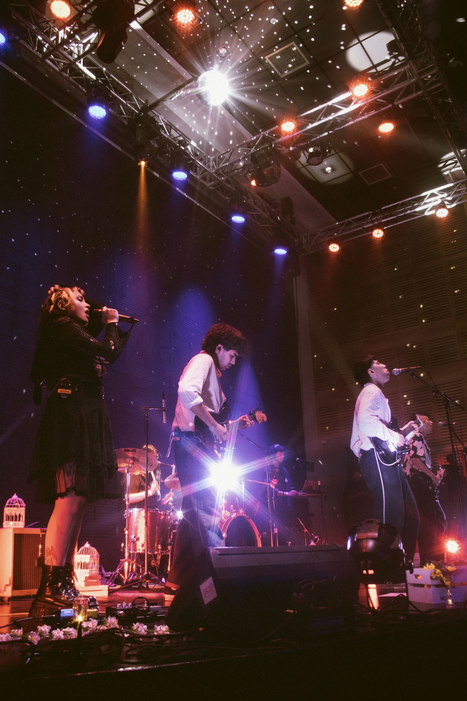 El Significado de las Flores - Ciclo Nuevo Rock